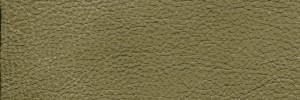 Agave 1312 Colour Leather from Epic, Studio leather collection