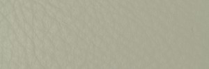 202 Pearl Colour Leather from Collection, Contempo leather collection