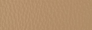 220 Desert Storm  Colour Leather from Collection, Contempo leather collection