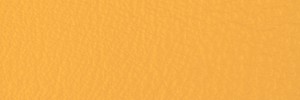 251 Carioca Colour Leather from Collection, Contempo leather collection