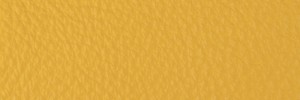287 Lemon Grass Colour Leather from Collection, Contempo leather collection
