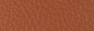 223 Swamp Colour Leather from Collection, Contempo leather collection