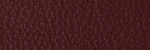 235 Ribes Colour Leather from Collection, Contempo leather collection