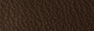 298 Root Colour Leather from Collection, Contempo leather collection