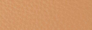 221 Lion Colour Leather from Collection, Contempo leather collection