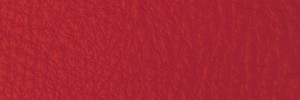 247 Parrot Colour Leather from Collection, Contempo leather collection