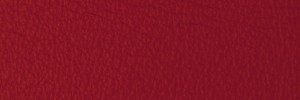 248 Siam Colour Leather from Collection, Contempo leather collection