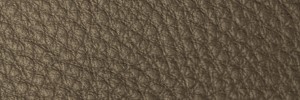 210 Greystone Colour Leather from Collection, Contempo leather collection