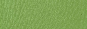 263 Summer Breeze Colour Leather from Collection, Contempo leather collection