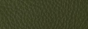258 Birch Colour Leather from Collection, Contempo leather collection