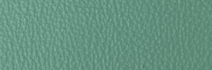 265 Lichene Colour Leather from Collection, Contempo leather collection
