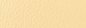 428 Vanilla Colour Leather from Collection, Ocean leather collection