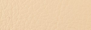 406 Dark Beige Colour Leather from Collection, Ocean leather collection