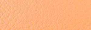 411 Nocciola Colour Leather from Collection, Ocean leather collection