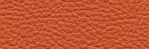  433 Vitamin Colour Leather from Collection, Ocean leather collection