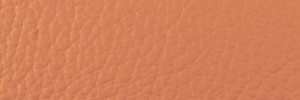 414 Terracotta Colour Leather from Collection, Ocean leather collection