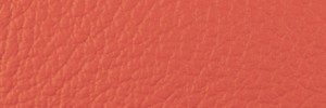 410 Marroncina Colour Leather from Collection, Ocean leather collection