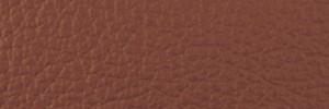 437 Bear Colour Leather from Collection, Ocean leather collection