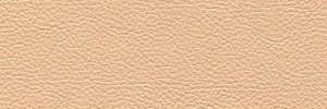 Cream 177 Colour Leather from Collection, Panda leather collection