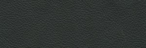 Black 168 Colour Leather from Collection, Panda leather collection
