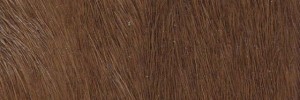 Brown A12 Colour Leather from Hair On Hide, H O H leather collection