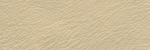 Beige 604 Colour Leather from Collection, Manhattan leather collection