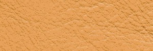 Marmo 665 Colour Leather from Collection, Manhattan leather collection