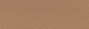 Tortora 659 Colour Leather from Collection, Manhattan leather collection