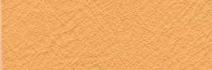 Pergamena 654 Colour Leather from Collection, Manhattan leather collection