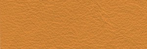 Giallino 619 Colour Leather from Collection, Manhattan leather collection