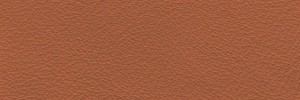 Wood 609 Colour Leather from Collection, Manhattan leather collection