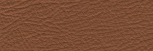 Nocciola 607 Colour Leather from Collection, Manhattan leather collection