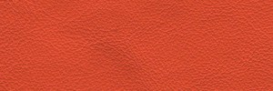 Begonia 617 Colour Leather from Collection, Manhattan leather collection