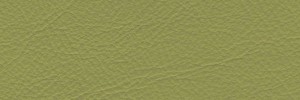 Green 631 Colour Leather from Collection, Manhattan leather collection