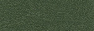 Pino 653 Colour Leather from Collection, Manhattan leather collection