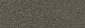 Grigio 623 Colour Leather from Collection, Manhattan leather collection