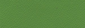 Verde 621 Colour Leather from Collection, Manhattan leather collection