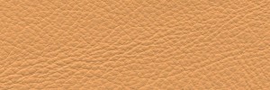 Caffelatte 637 Colour Leather from Collection, Manhattan leather collection