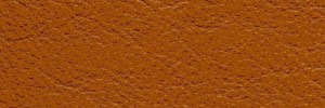 New Cognac 680 Colour Leather from Collection, Manhattan leather collection