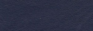 Azzuro 624 Colour Leather from Collection, Manhattan leather collection