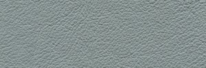 Inox 671  Colour Leather from Collection, Manhattan leather collection