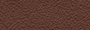 Muscat 681  Colour Leather from Collection, Manhattan leather collection