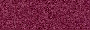 Cirese 699  Colour Leather from Collection, Manhattan leather collection