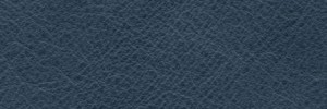 Notte 644  Colour Leather from Collection, Manhattan leather collection