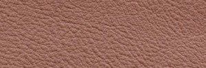 Rosa Antico 651  Colour Leather from Collection, Manhattan leather collection