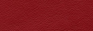 Rosso Antico 657  Colour Leather from Collection, Manhattan leather collection