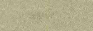 Frozen 668 Colour Leather from Collection, Manhattan leather collection