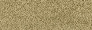 Earth 667  Colour Leather from Collection, Manhattan leather collection