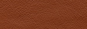 Cotto 656  Colour Leather from Collection, Manhattan leather collection