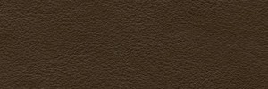 Moretto 646 Colour Leather from Collection, Manhattan leather collection